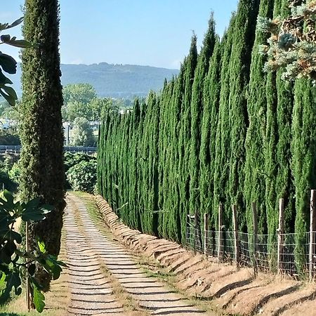 Camugnano Farm Villa Rapolano Terme Exteriör bild