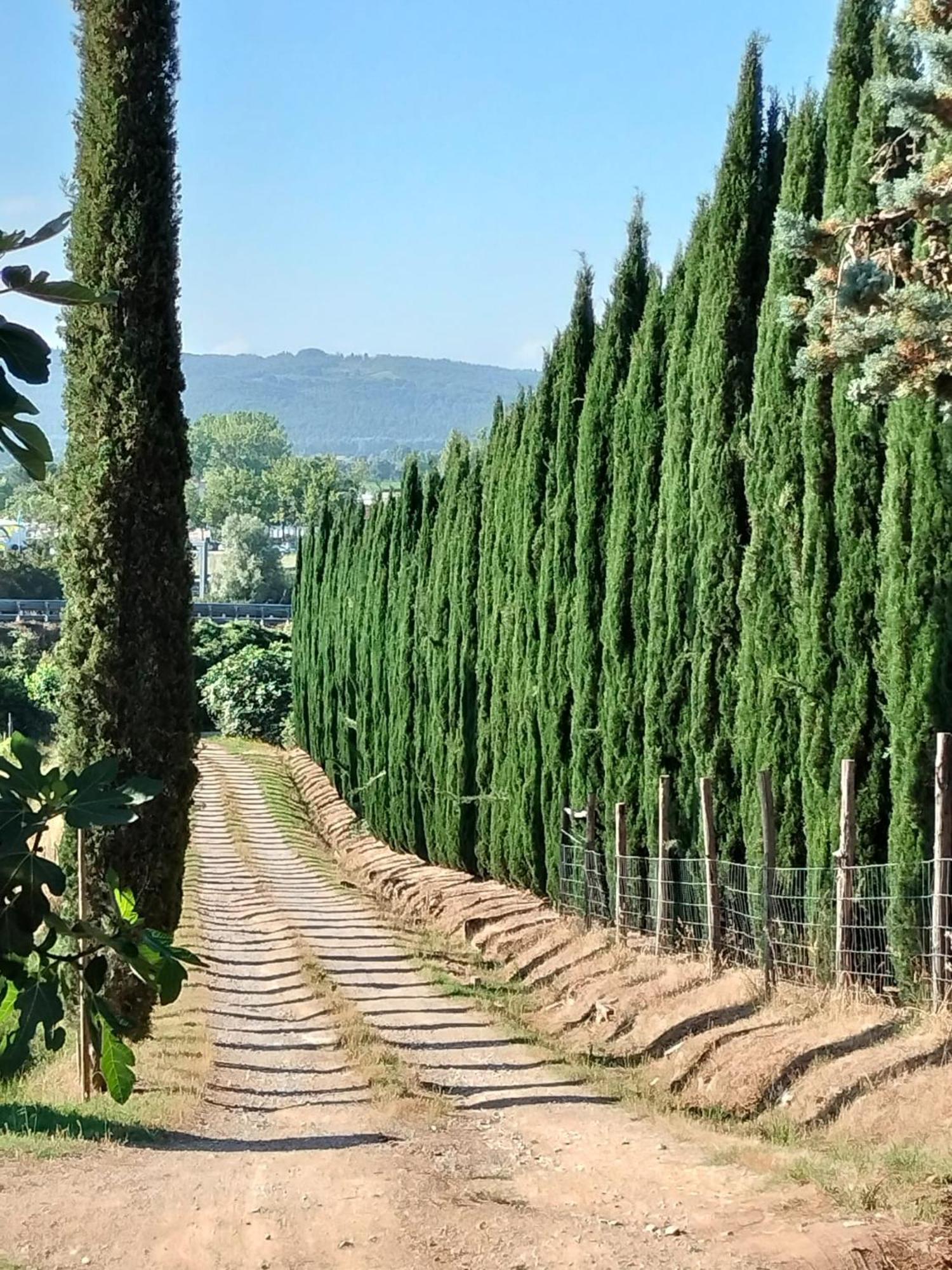 Camugnano Farm Villa Rapolano Terme Exteriör bild